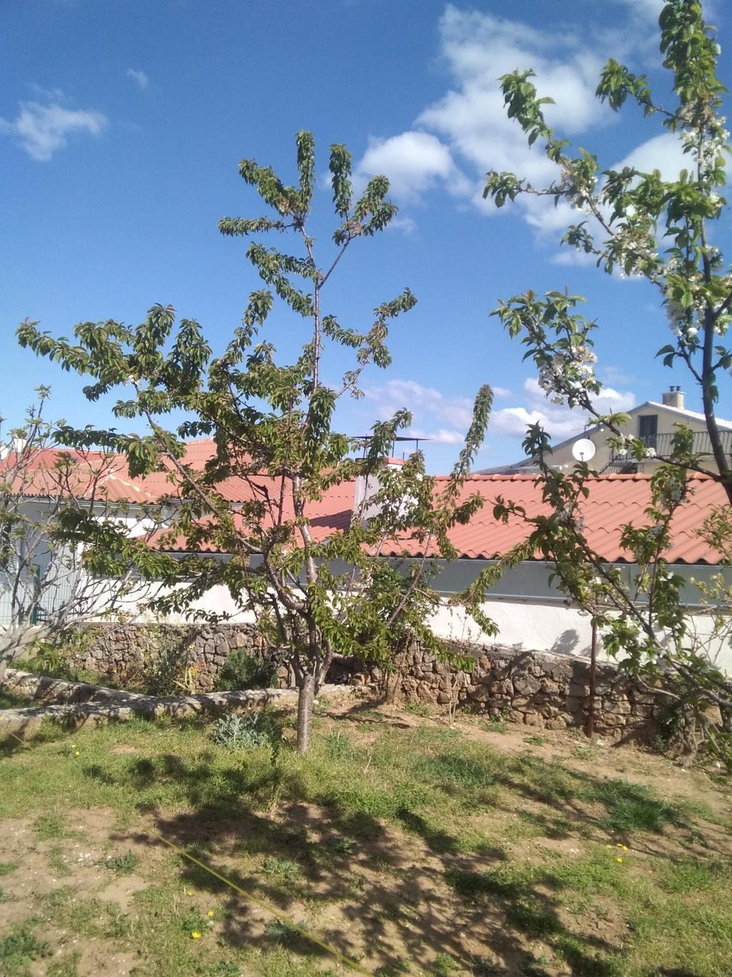 Guesthouse Martina Senj  Dış mekan fotoğraf