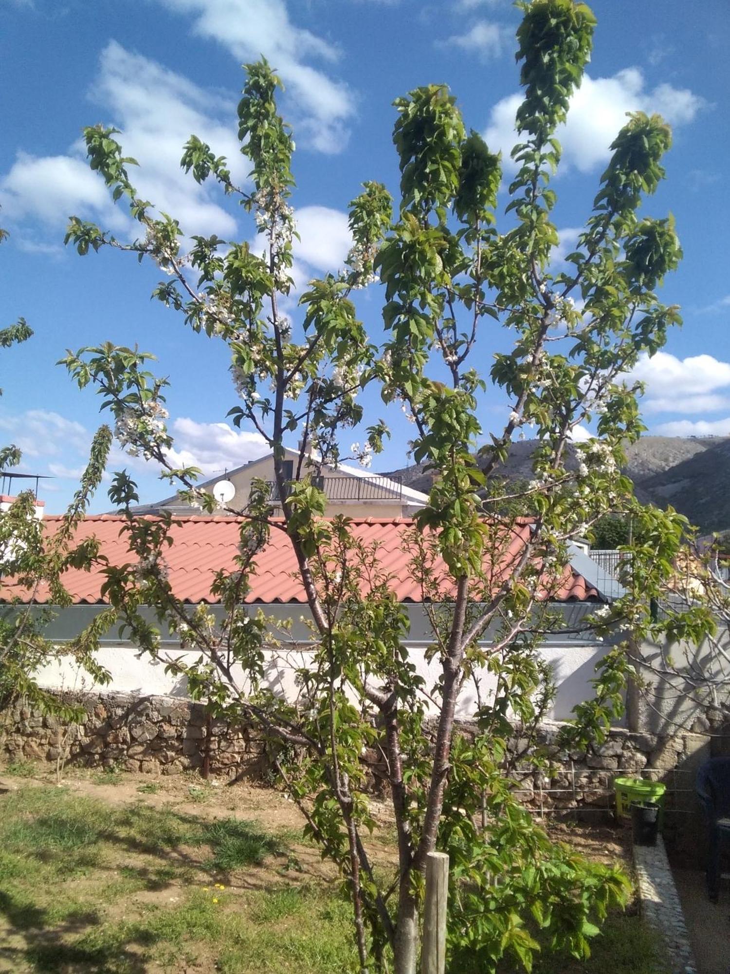 Guesthouse Martina Senj  Dış mekan fotoğraf